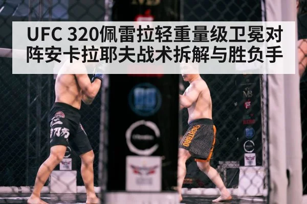 UFC 320佩雷拉轻重量级卫冕对阵安卡拉耶夫战术拆解与胜负手